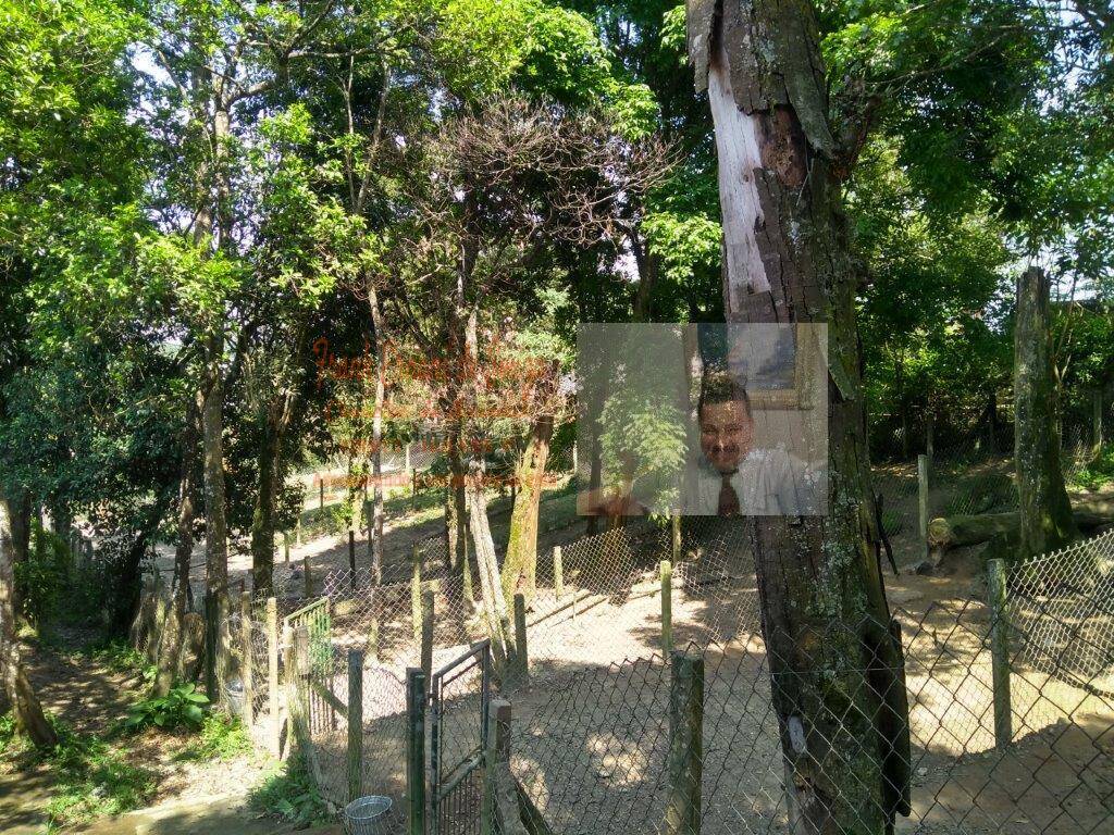 Terreno, 1 hectares - Foto 8