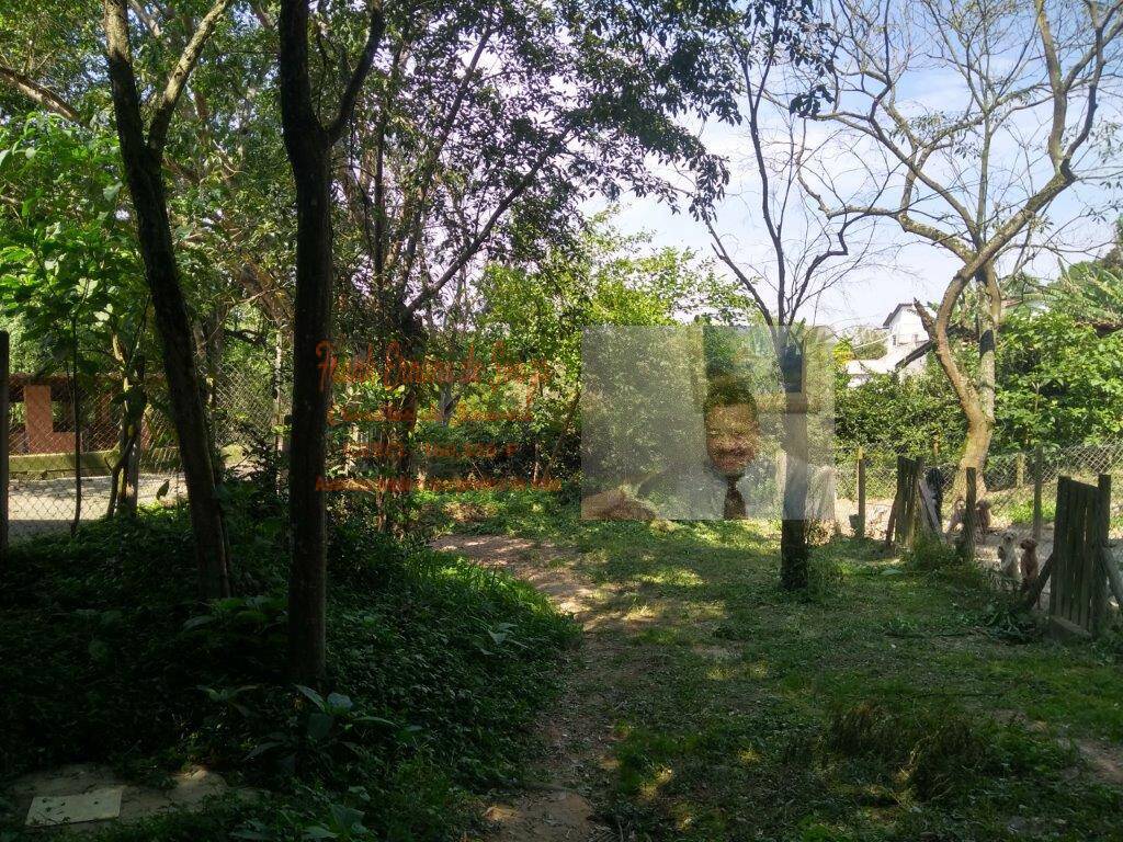 Terreno, 1 hectares - Foto 9