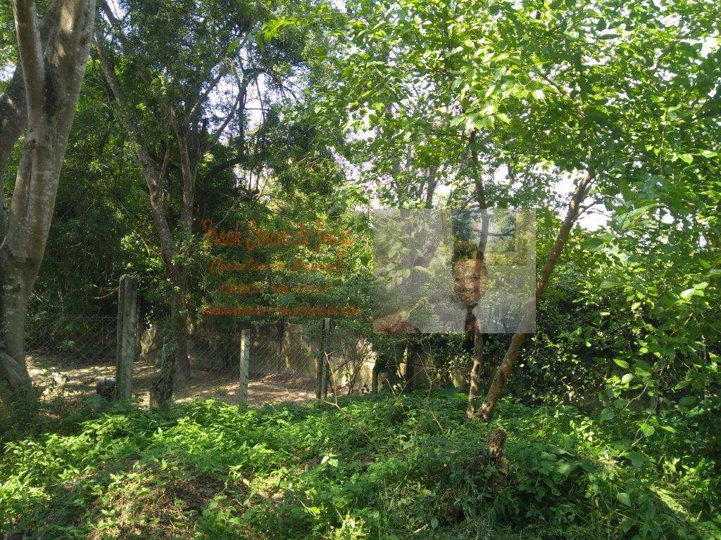 Terreno, 1 hectares - Foto 10