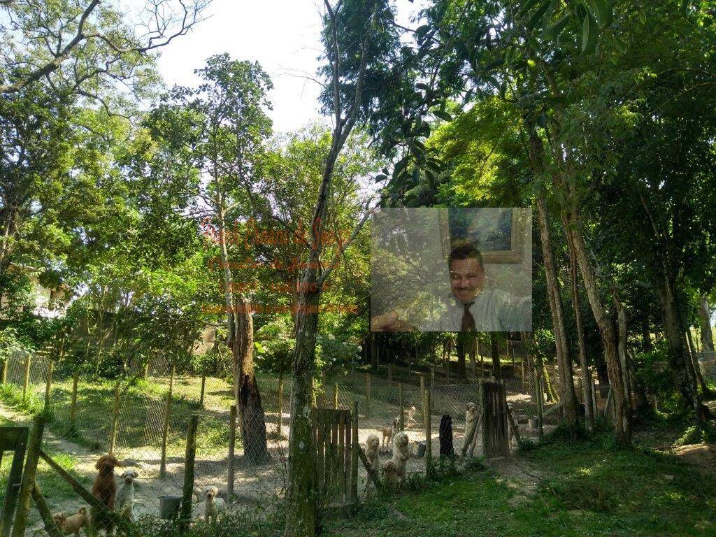 Terreno, 1 hectares - Foto 12