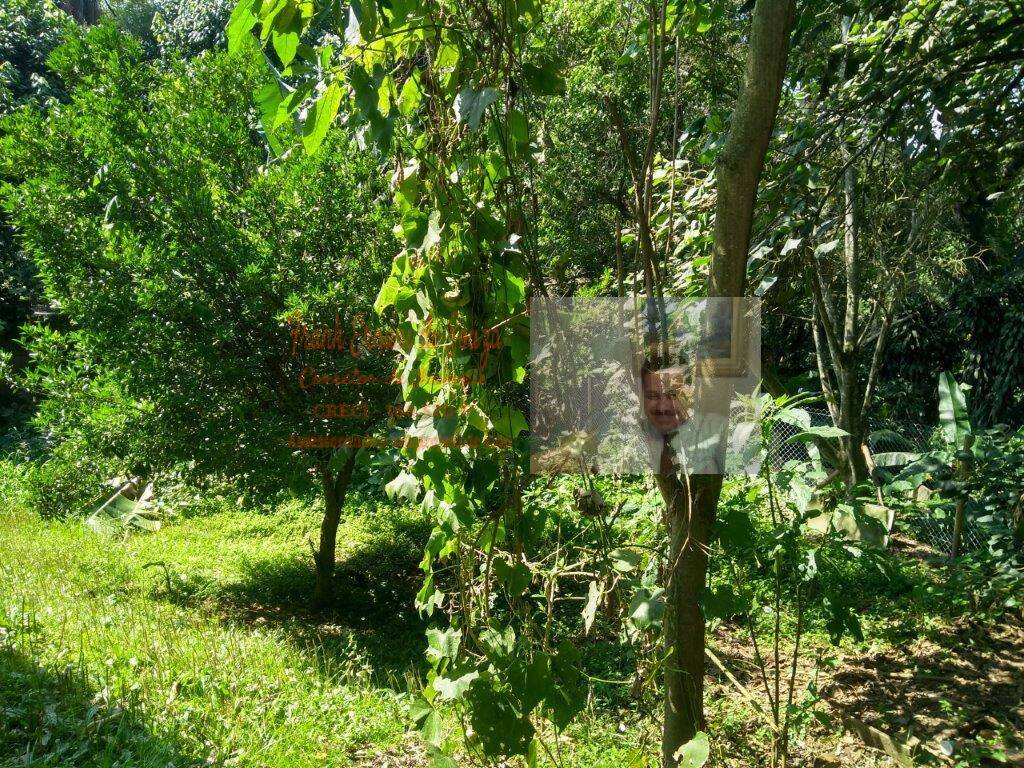 Terreno, 1 hectares - Foto 13