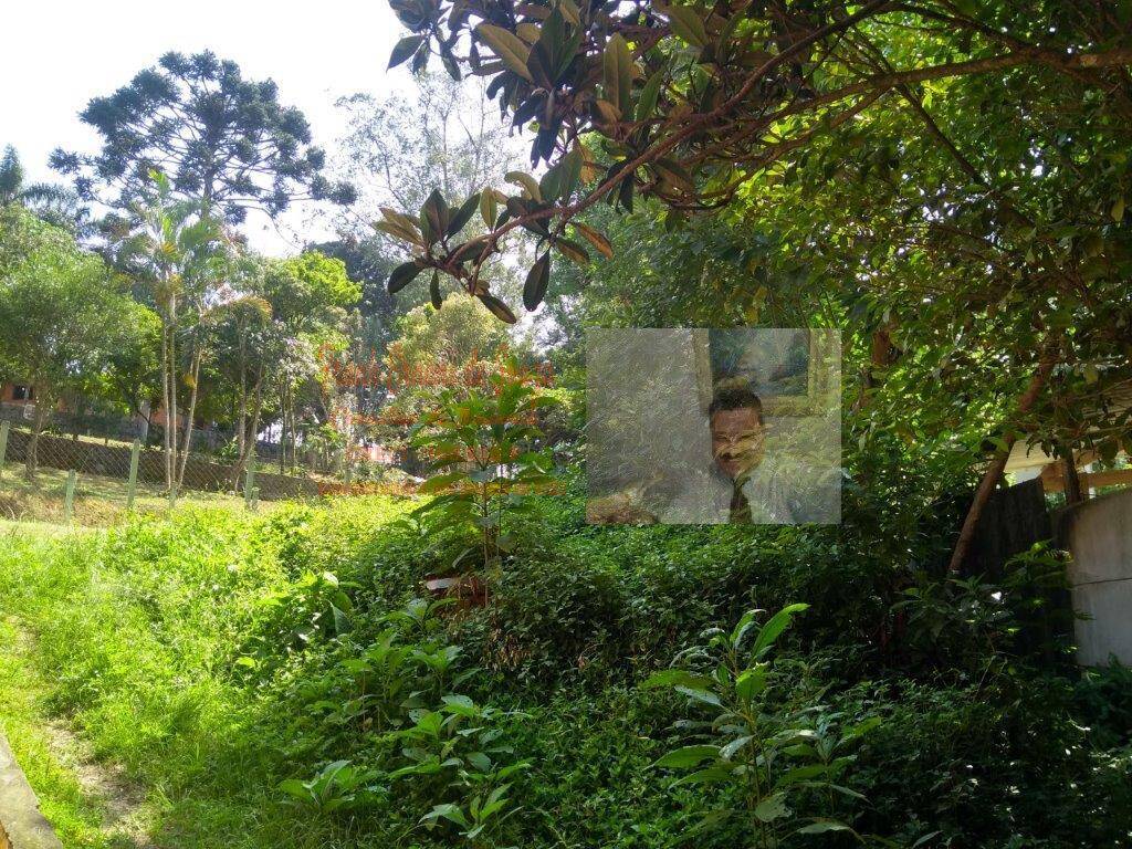 Terreno, 1 hectares - Foto 21