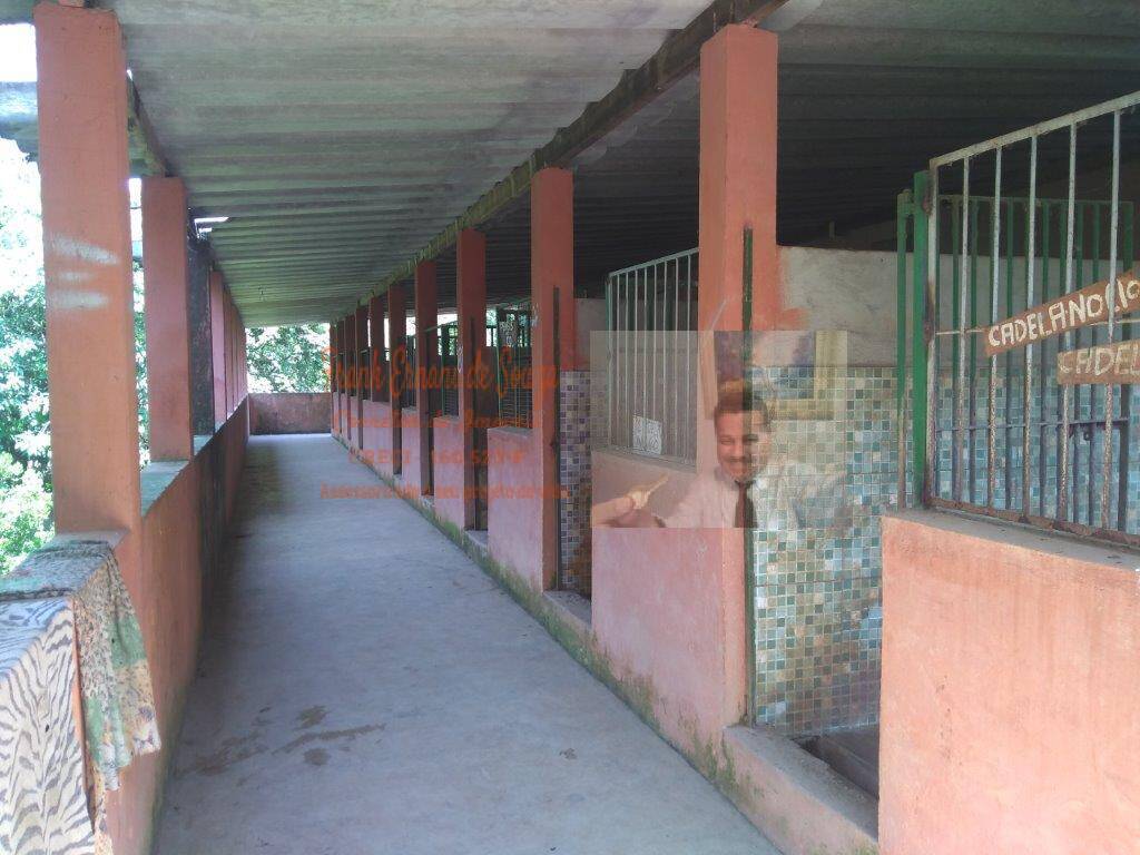 Terreno, 1 hectares - Foto 29