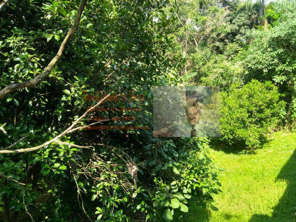 Terreno, 1 hectares - Foto 35