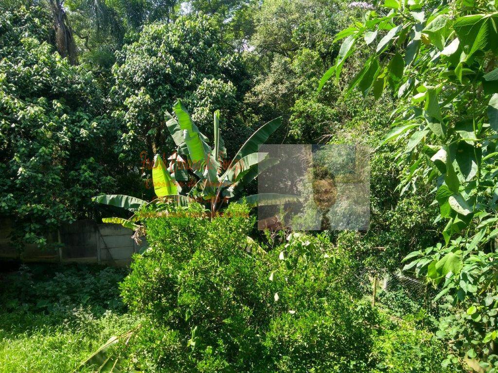 Terreno, 1 hectares - Foto 33