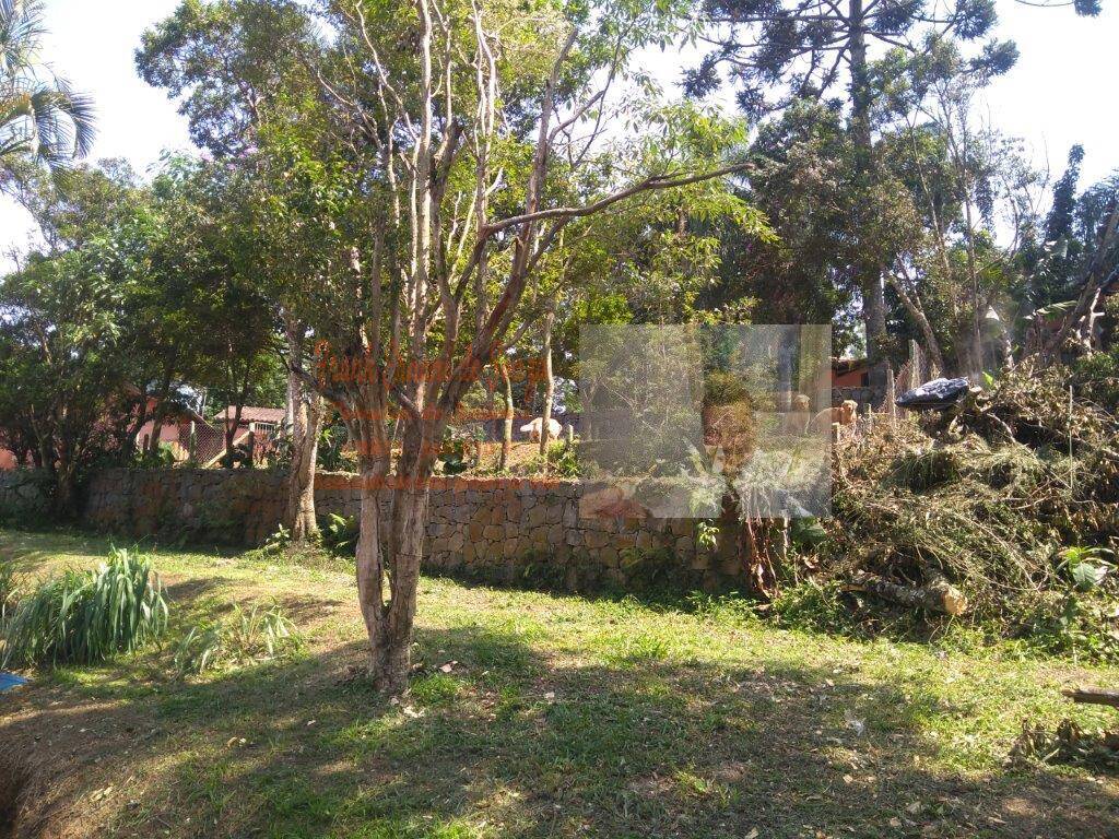 Terreno, 1 hectares - Foto 36