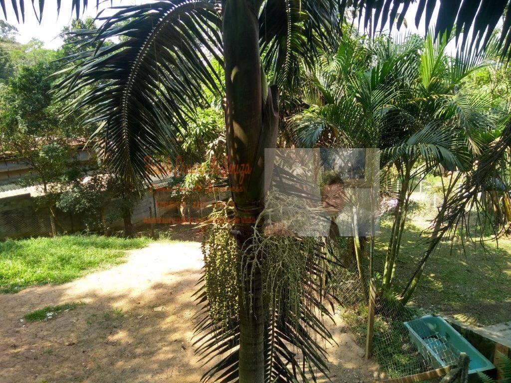 Terreno, 1 hectares - Foto 48